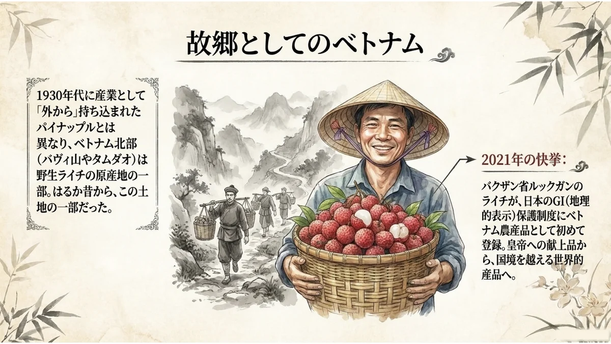 笠をかぶった農家の男性が竹かごいっぱいのライチを抱え、背景には収穫物を運ぶ人々と山あいの道