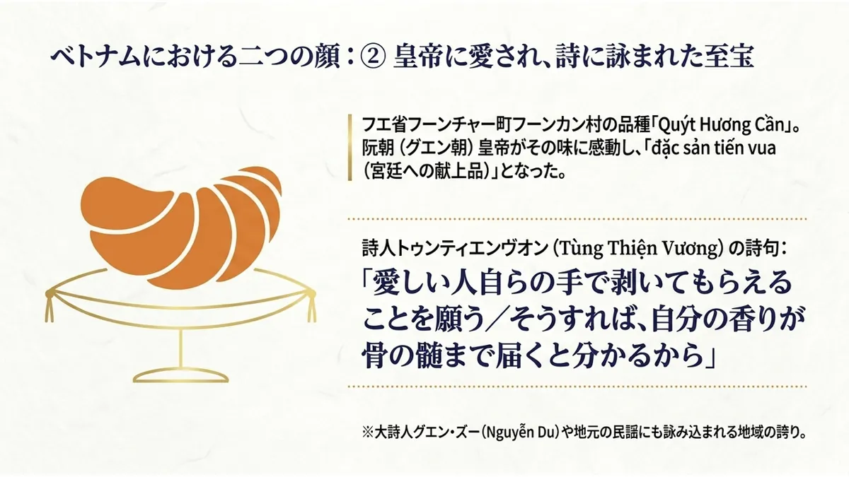 フエ省フーンカン村の品種「Quýt Hương Cần」が阮朝皇帝への献上品「đặc sản tiến vua」となった経緯と、詩人トゥンティエンヴオンの詩「愛しい人自らの手で剥いてもらえることを願う/そうすれば、自分の香りが骨の髄まで届くと分かるから」を引用し、大詩人グエン・ズーや地元の民謡にも詠み込まれる地域の誇りであることを示した「ベトナムにおける二つの顔:②皇帝に愛され、詩に詠まれた至宝」の図