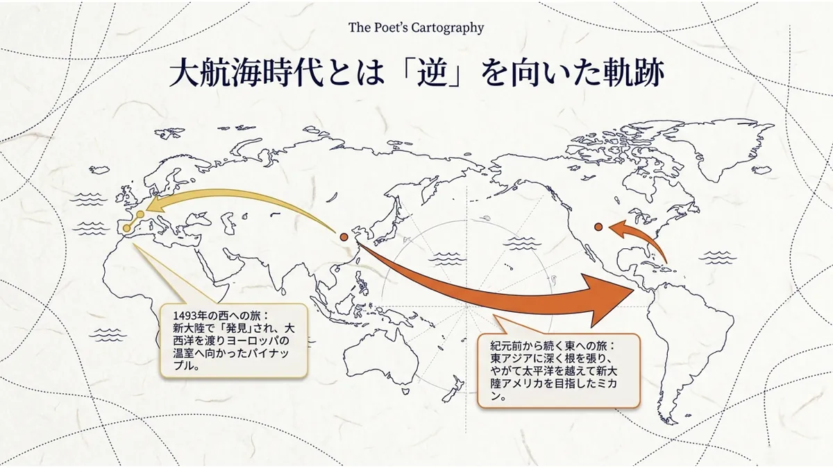 世界地図上に、1493年に新大陸からヨーロッパへ渡ったパイナップルの旅(西への矢印)と、紀元前から東アジアに根を張り、太平洋を越えて新大陸アメリカを目指したミカンの旅(東への矢印)を対比した「大航海時代とは『逆』を向いた軌跡」の図