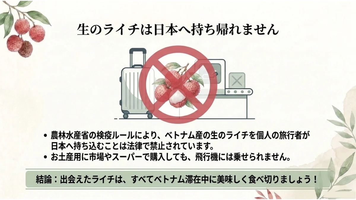 スーツケースとX線検査機に赤いバツ印を重ねた「生のライチは日本へ持ち帰れません」のイメージ