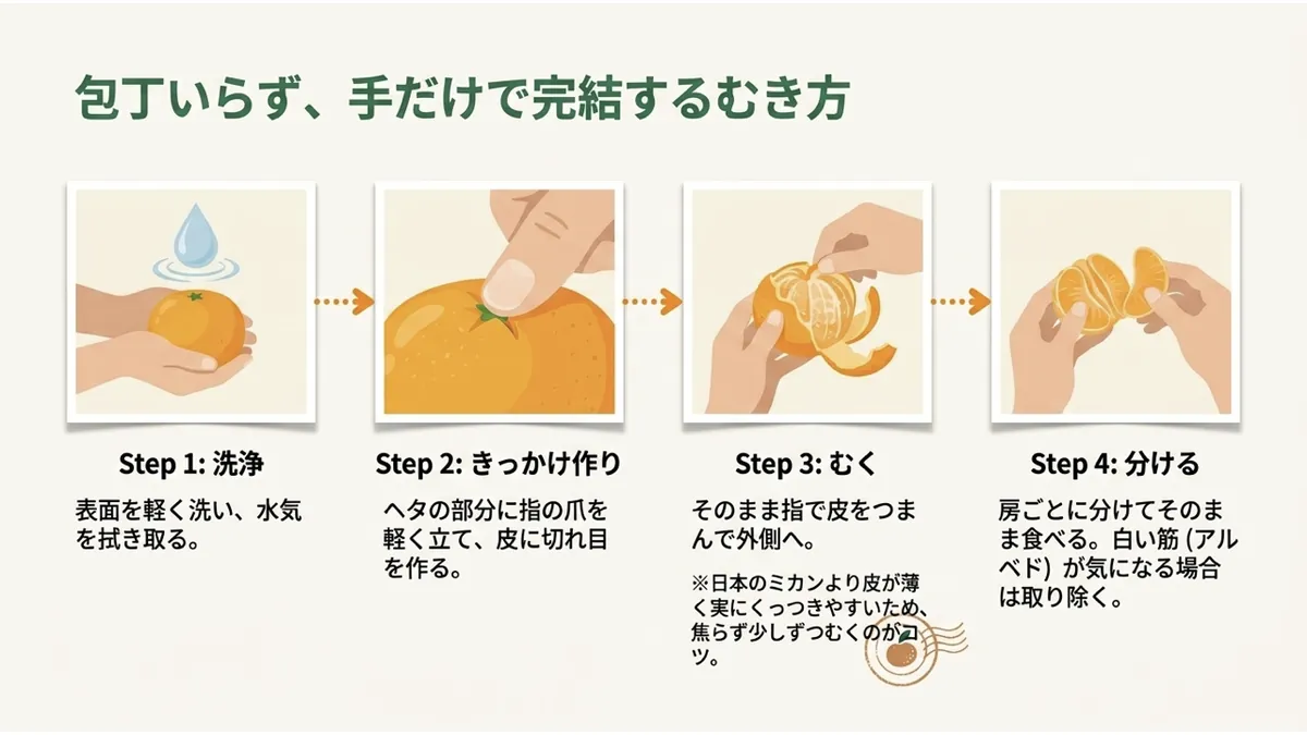 洗浄(Step1)、ヘタに爪を立てて切れ目を作る(Step2)、指で皮をむく(Step3)、房ごとに分ける(Step4)の4コマで「包丁いらず、手だけで完結するむき方」を示した図