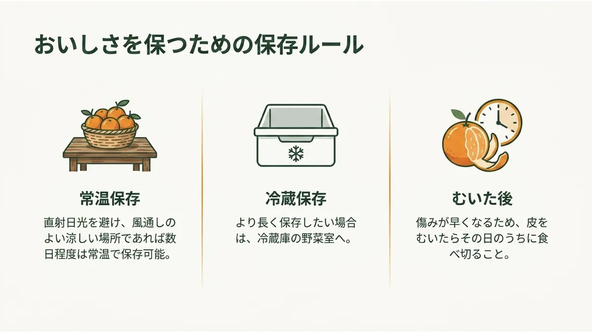 常温保存(風通しのよい涼しい場所で数日)、冷蔵保存(野菜室でより長く)、むいた後(その日のうちに食べ切る)の3項目を並べた「おいしさを保つための保存ルール」の図