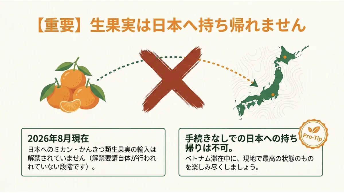 ミカンの実と日本地図を「STOP」を示すバツ印でつなぎ、「2026年8月現在、日本へのミカン・かんきつ類生果実の輸入は解禁されていません」と示した「【重要】生果実は日本へ持ち帰れません」の図