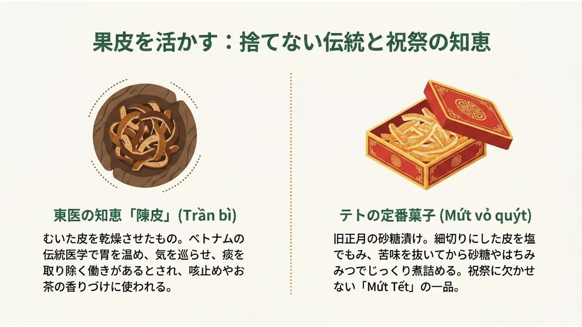左に乾燥させた皮「東医の知恵『陳皮』(Trần bì)」、右に赤い化粧箱に入った砂糖漬け「テトの定番菓子(Mứt vỏ quýt)」を並べた「果皮を活かす:捨てない伝統と祝祭の知恵」の図