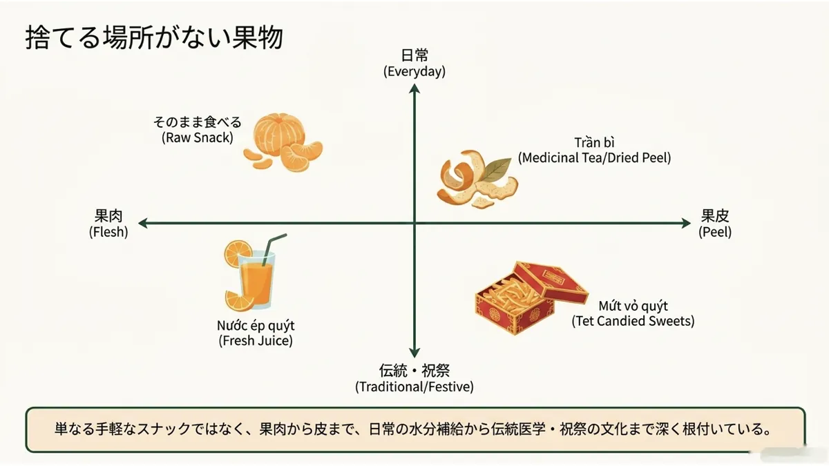 縦軸に日常⇔伝統・祝祭、横軸に果肉⇔果皮を取り、そのまま食べる・ジュース・陳皮・皮の砂糖漬けの4つの楽しみ方を配置した「捨てる場所がない果物」の総括マトリクス図