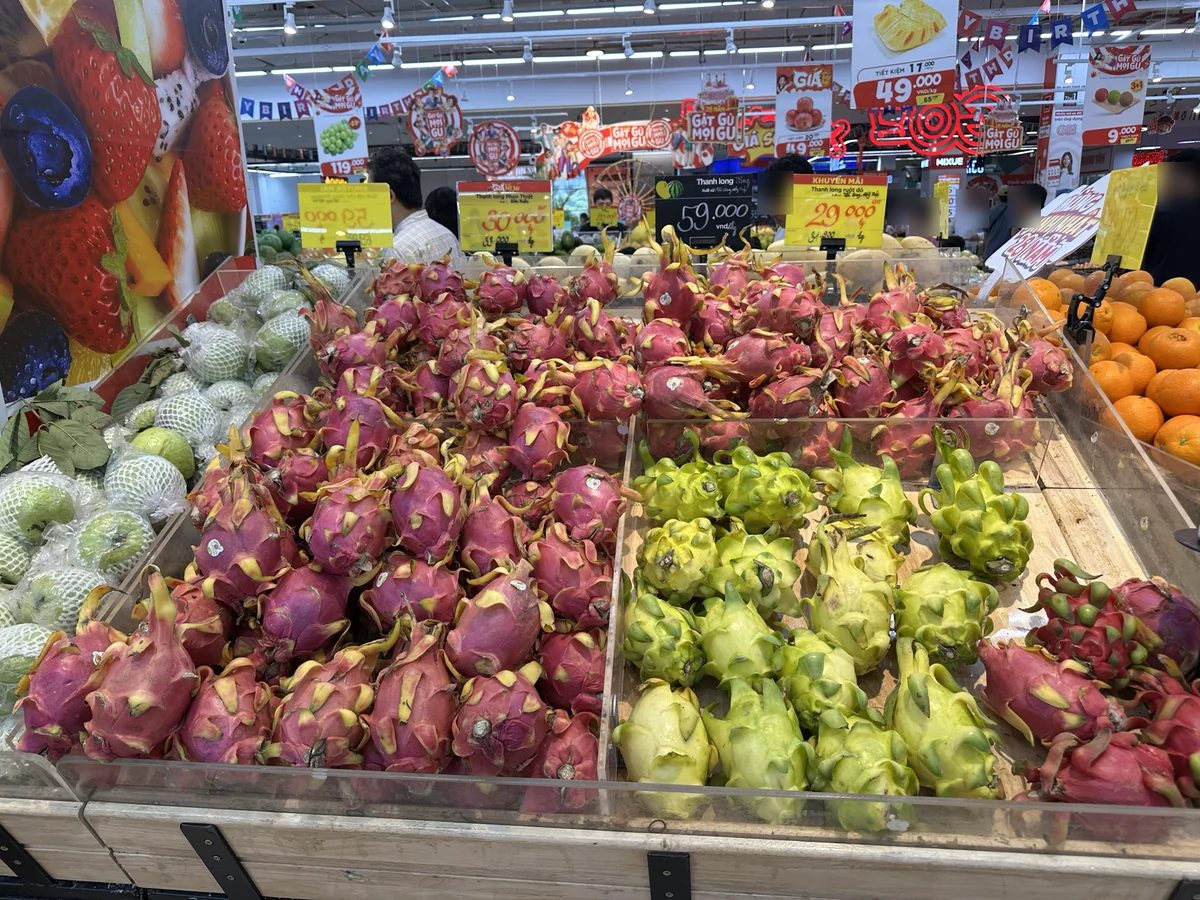 Go!の果物売り場に並ぶ赤と緑のドラゴンフルーツ