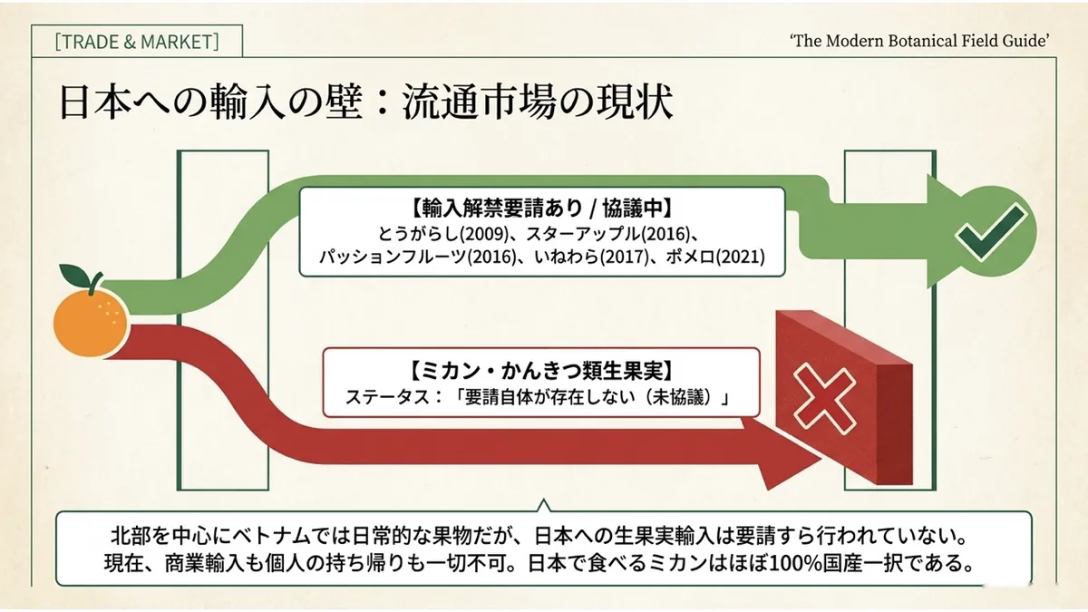 輸入解禁要請あり・協議中の5品目(とうがらし・スターアップル・パッションフルーツ・いねわら・ポメロ)へ向かう緑の矢印と、「要請自体が存在しない(未協議)」というステータスのミカン・かんきつ類生果実へ向かう赤いバツ印の矢印を対比した「日本への輸入の壁:流通市場の現状」の図