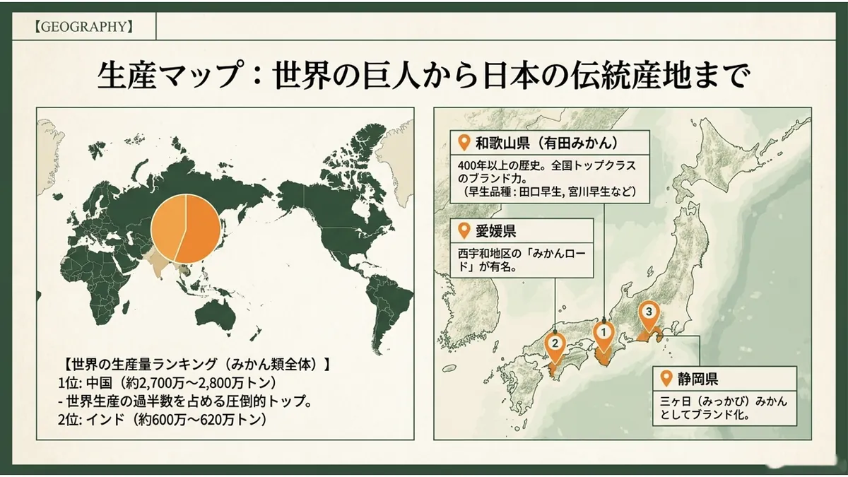 世界地図上に円グラフで世界の生産量ランキング(1位中国・約2,700万〜2,800万トン、2位インド・約600万〜620万トン)を示し、日本地図には和歌山県(有田みかん)・愛媛県(みかんロード)・静岡県(三ヶ日みかん)の産地をマーカーで示した「生産マップ:世界の巨人から日本の伝統産地まで」の図