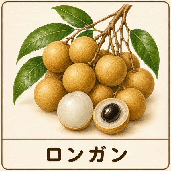ロンガン