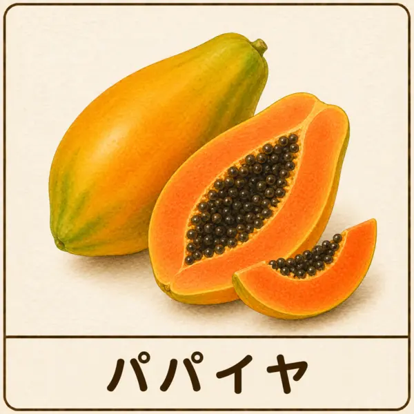 パパイヤ