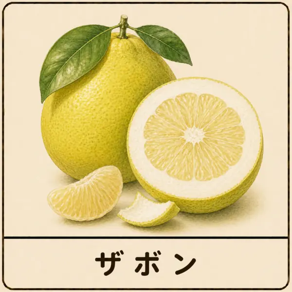 ザボン