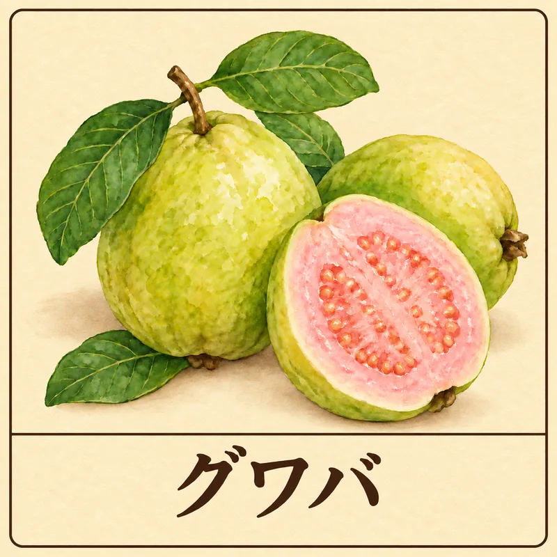 グワバ