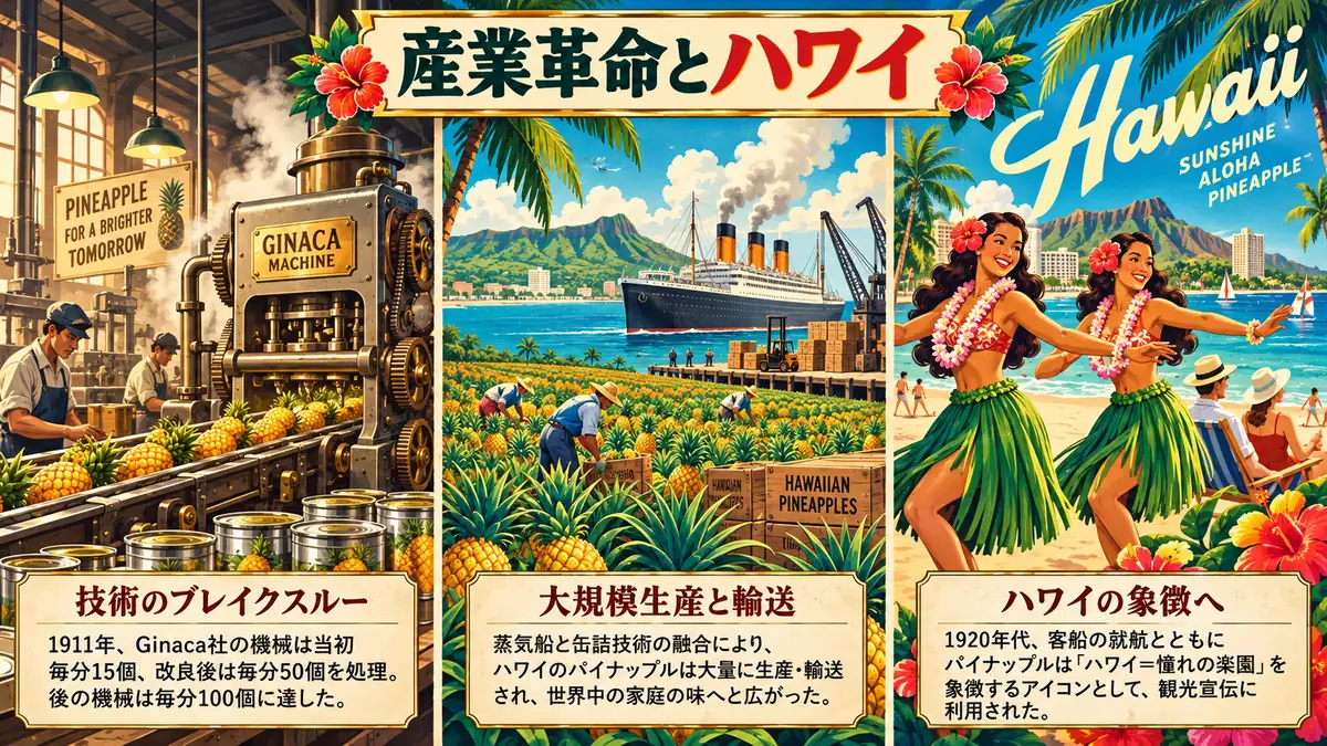 ジナカ機による缶詰加工、ハワイの大規模生産と輸送、観光イメージへの広がりを描いた図