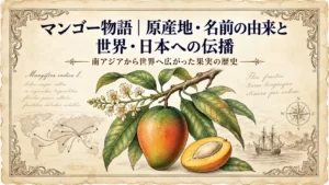 マンゴーの花、葉、果実、断面と世界への伝播を描いたタイトル