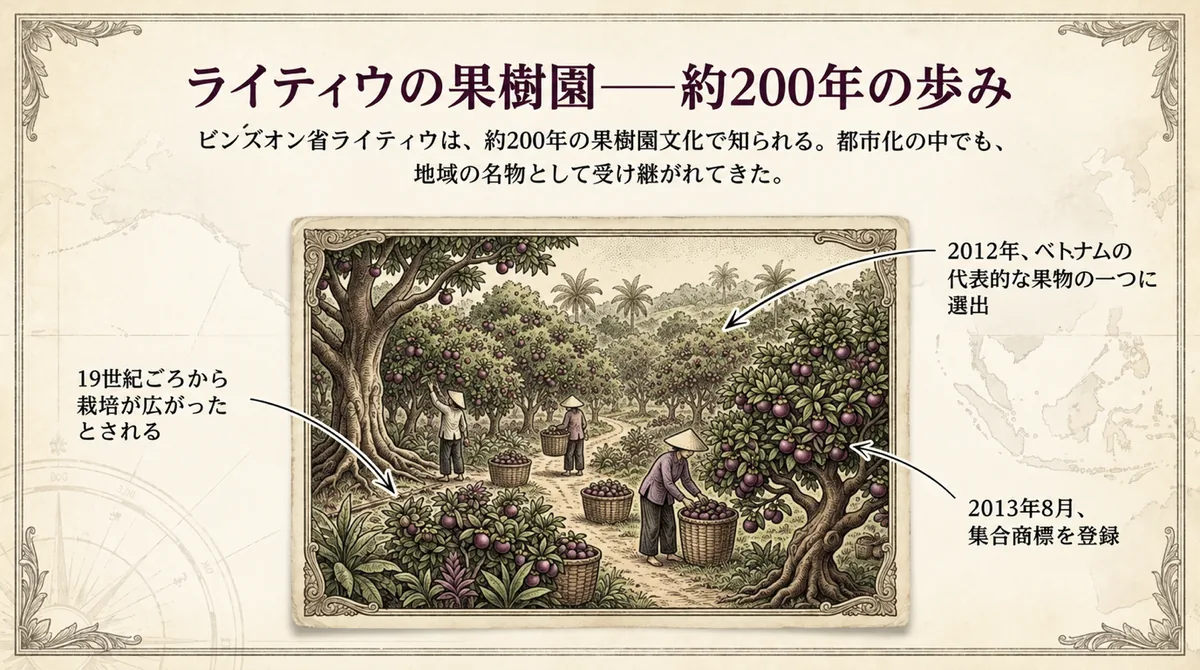 ベトナムのライティウで約200年続くマンゴスチン果樹園と2013年の集合商標
