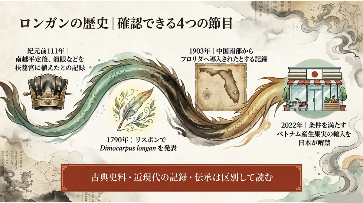 漢代の記録、1790年の学名、1903年のフロリダ導入、2022年の輸入解禁を結ぶ年表
