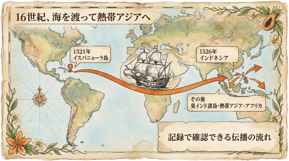 16世紀のパパイヤ伝播を帆船と世界地図で示した図