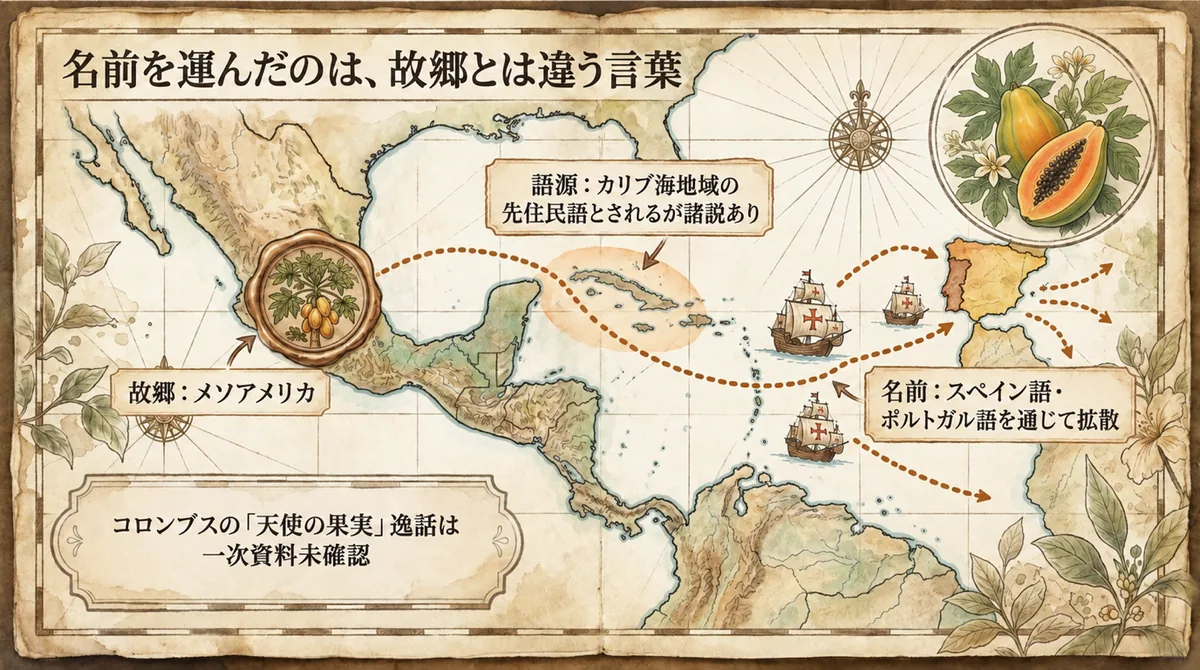 パパイヤの故郷と名称が広がった経路を示す古地図