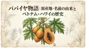 パパイヤと「パパイヤ物語｜原産地・名前の由来とベトナム・ハワイの歴史」の文字