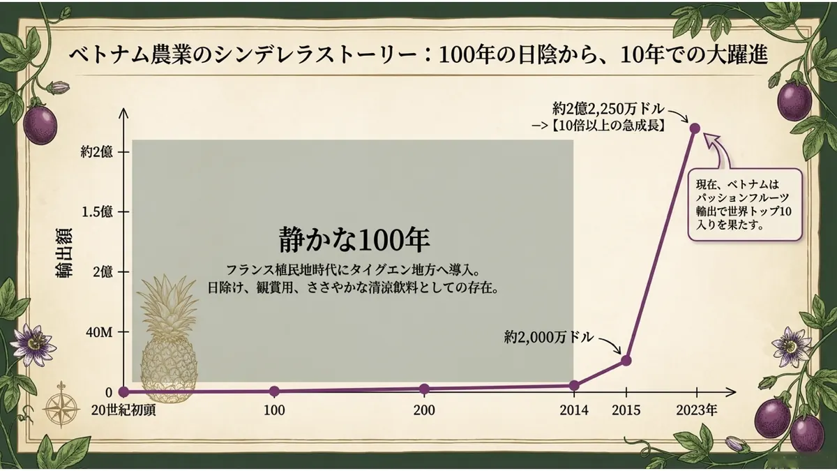 ベトナムでのパッションフルーツ輸出額の推移グラフ。20世紀初頭の導入から2014年までの「静かな100年」を経て、2015年以降2023年に約2億2,250万ドルへ急成長したことを示す
