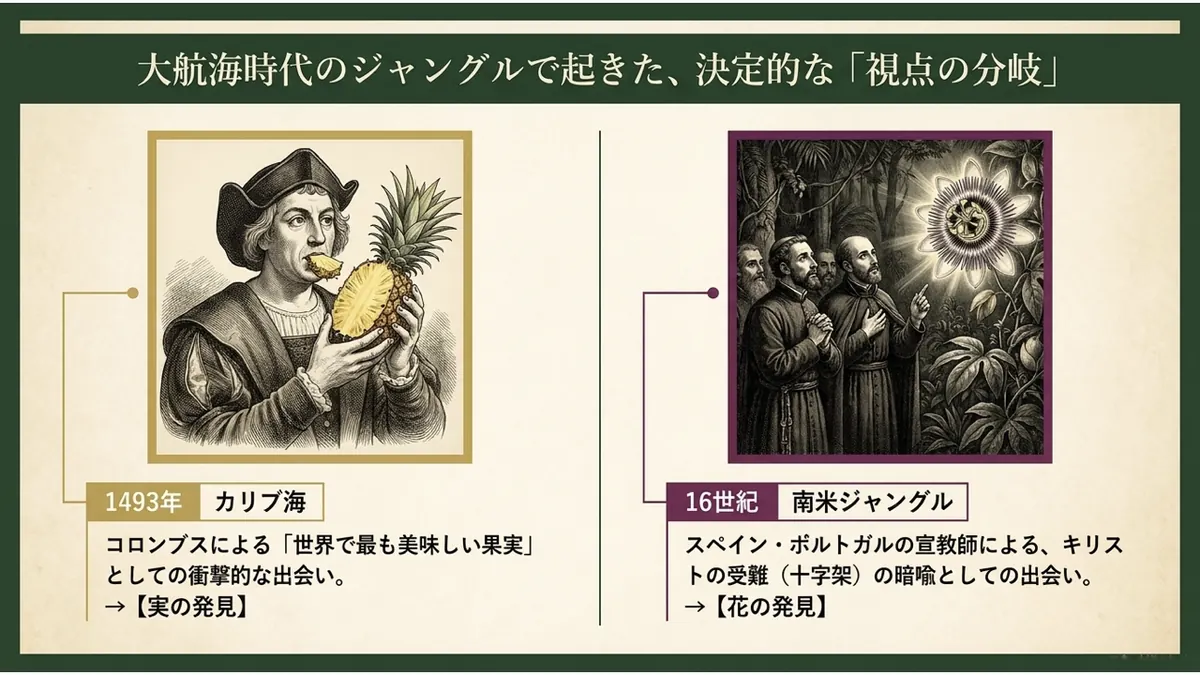 1493年カリブ海でのコロンブスとパイナップルの劇的な出会いと、16世紀南米ジャングルでの宣教師とパッションフルーツの花との出会いを対比した図。パイナップルは「実の発見」、パッションフルーツは「花の発見」と説明されている