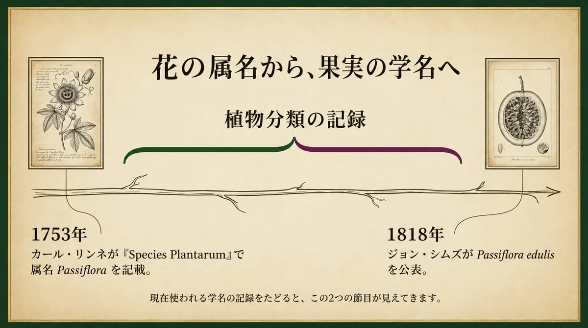 1753年にリンネが属名Passifloraを記載し、1818年にジョン・シムズがPassiflora edulisを公表した、植物分類の二つの節目を示す図