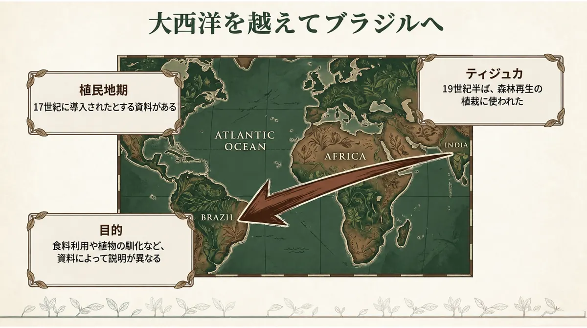 ポルトガル支配期にブラジルへ移入されたジャックフルーツの移動を示す図