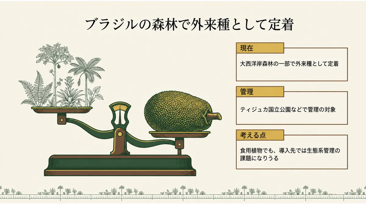 リオデジャネイロの森林で外来種として管理されるジャックフルーツの図