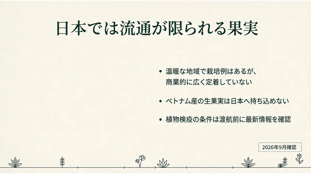 日本では流通が限られ、ベトナム産の生果実は日本に持ち込めないことを示す図