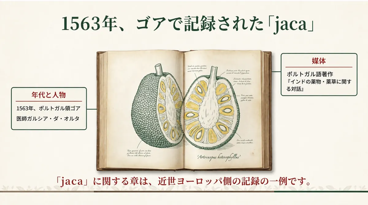 1563年にゴアで出版されたガルシア・ダ・オルタのポルトガル語著作を示す図
