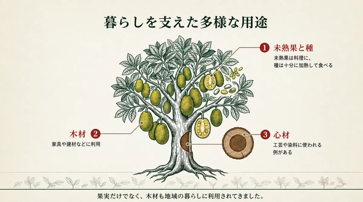 果実・種・木材が食用、家具、工芸などに利用されることを示す図