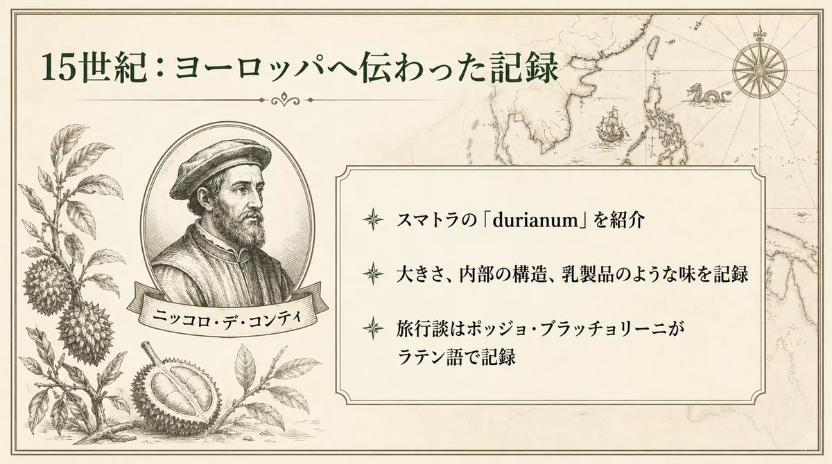 ニッコロ・デ・コンティの肖像と、スマトラのdurianumに関する記録を示した図