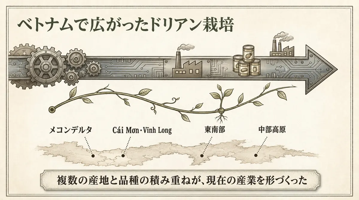 メコンデルタ、Cái Mơn・Vĩnh Long、東南部、中部高原で広がったドリアン栽培を示した図