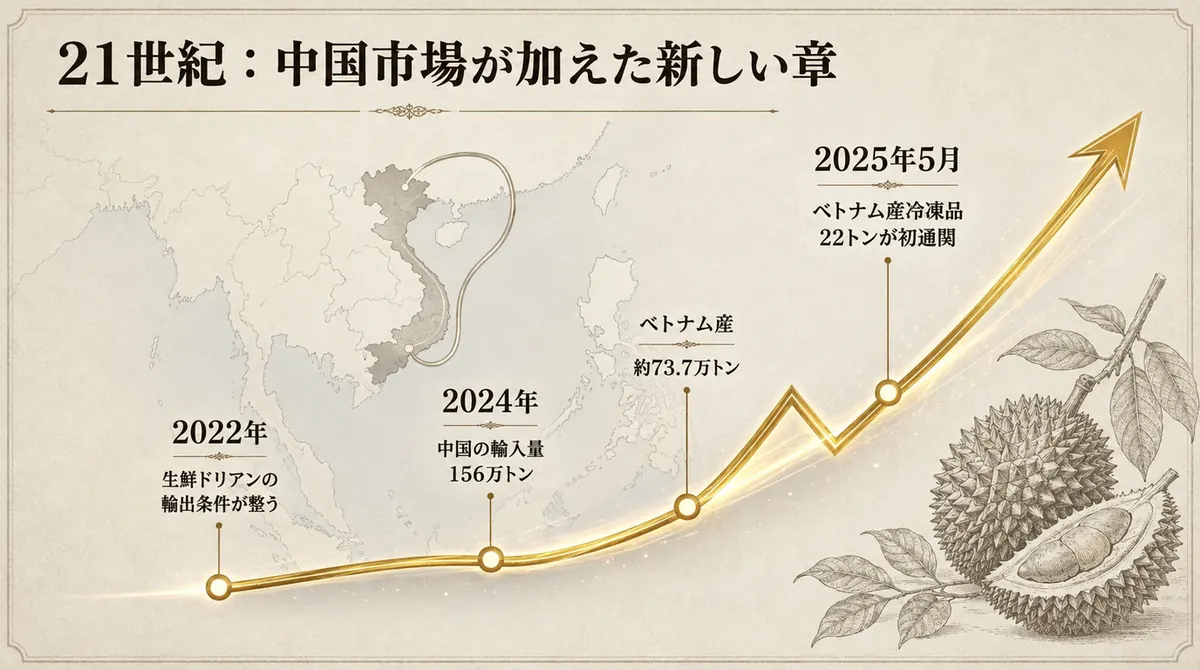 2022年から2025年までのベトナム産ドリアンの対中輸出拡大を示した年表
