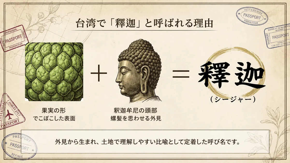 バンレイシの果皮と釈迦牟尼の頭部を並べ、台湾名の釋迦の由来を示した図