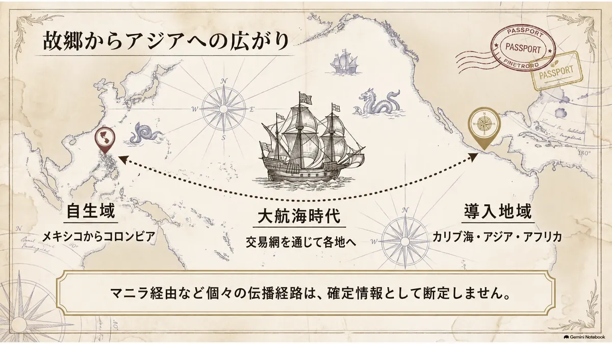 バンレイシの新大陸での呼び名anónと、各地へ広がった名称を示す図