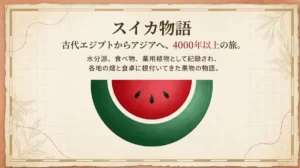 赤い果肉と黒い種を持つスイカの断面イラストと「スイカ物語 砂漠から食卓へ、長い旅をたどる」というタイトル