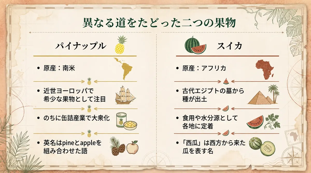 パイナップルとスイカの原産地域、日本への伝来時期、食べ方、名前の由来を見開きで比較した図