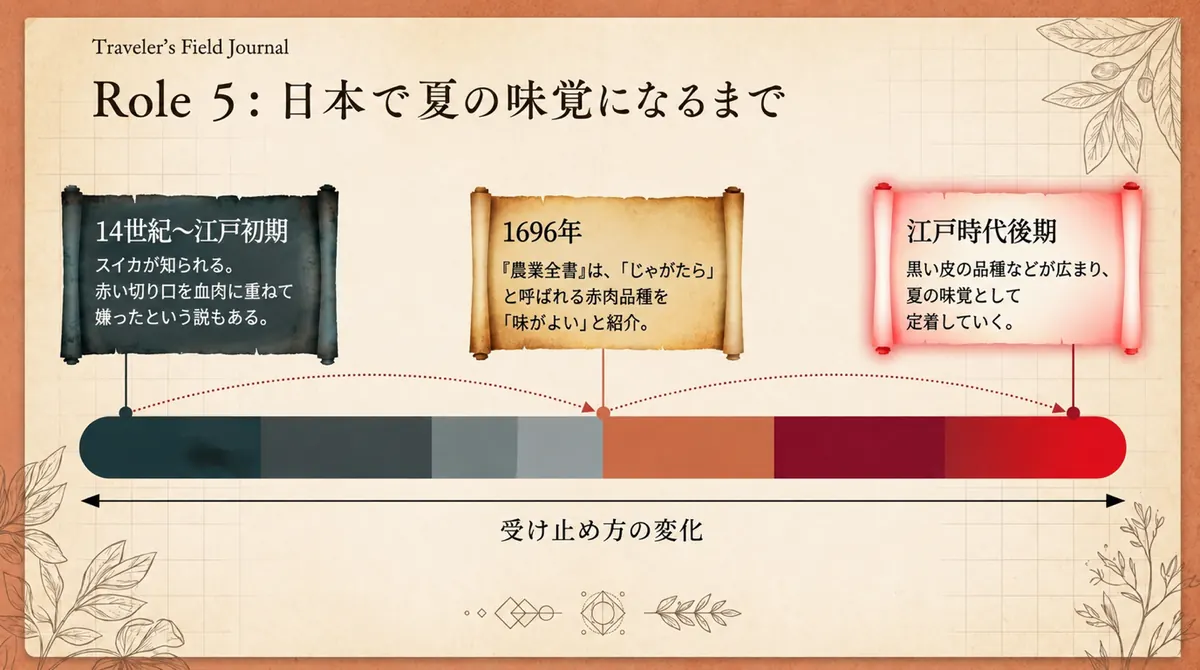 日本で記録されたスイカについて、中世から江戸時代にかけての受容と栽培の広がりを3段階で示した図