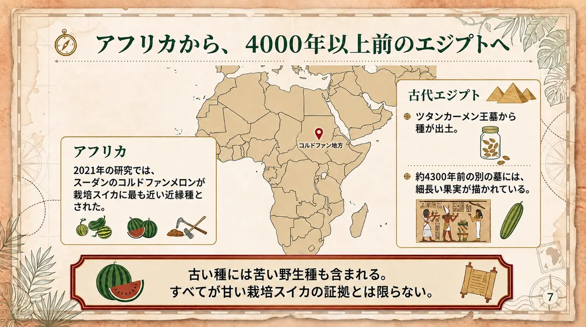 アフリカ大陸の地図上にスーダンのコルドファン地方と古代エジプトを示し、ツタンカーメン王墓から出土した種と、約4300年前の別の墓に残る壁画を区別して紹介する図