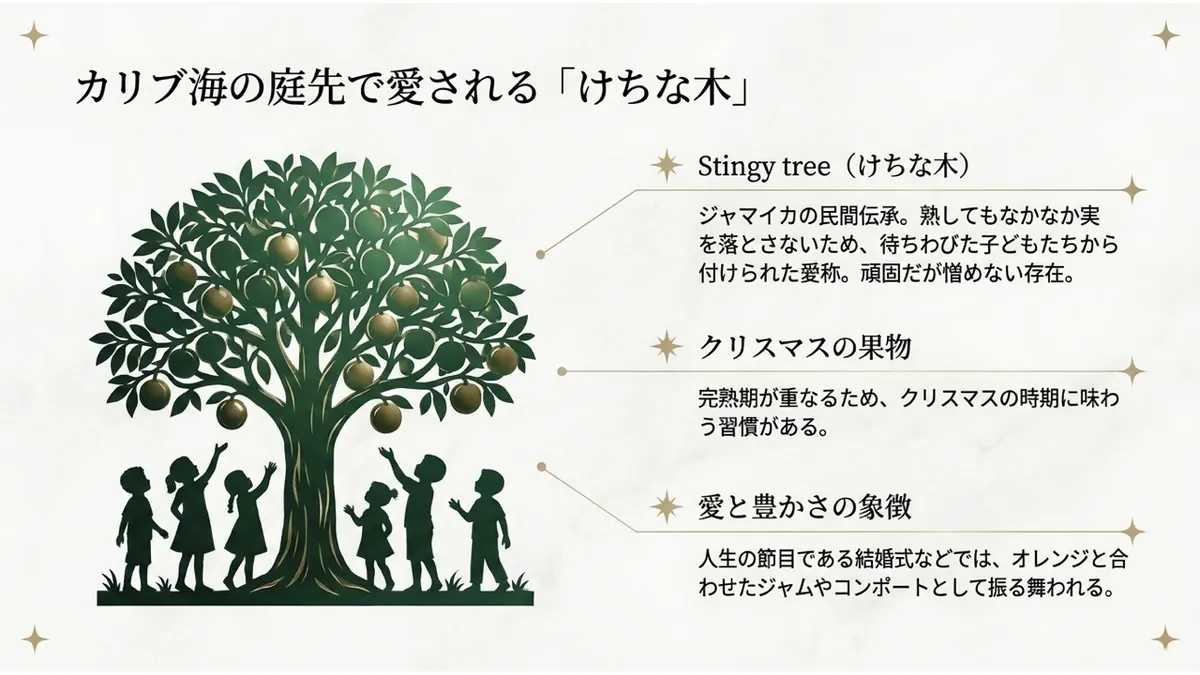 カリブ海の庭先で愛される「けちな木」。Stingy tree(けちな木):ジャマイカの民間伝承。熟してもなかなか実を落とさないため、待ちわびた子どもたちから付けられた愛称。頑固だが憎めない存在。クリスマスの果物:完熟期が重なるため、クリスマスの時期に味わう習慣がある。愛と豊かさの象徴:人生の節目である結婚式などでは、オレンジと合わせたジャムやコンポートとして振る舞われる
