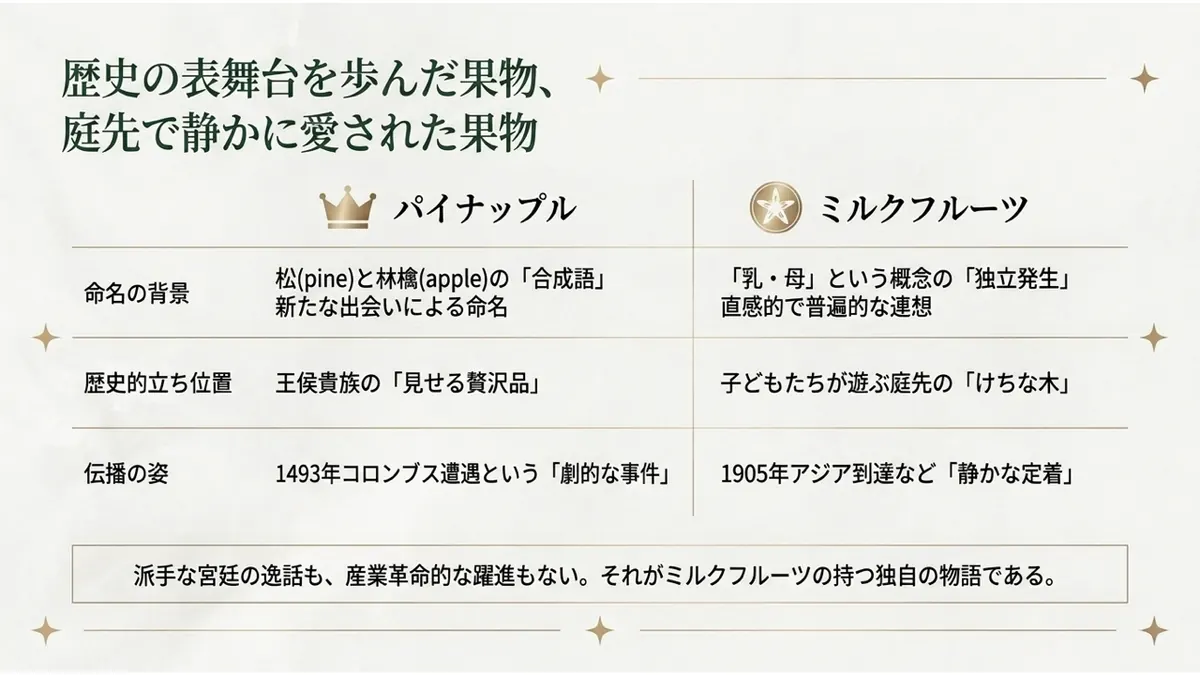 歴史の表舞台を歩んだ果物、庭先で静かに愛された果物。パイナップル:命名の背景=松(pine)と林檎(apple)の合成語、歴史的立ち位置=王侯貴族の「見せる贅沢品」、伝播の姿=1493年コロンブス遭遇という「劇的な事件」。ミルクフルーツ:命名の背景=「乳・母」という概念の「独立発生」、歴史的立ち位置=子どもたちが遊ぶ庭先の「けちな木」、伝播の姿=1905年アジア到達など「静かな定着」。派手な宮廷の逸話も、産業革命的な躍進もない。それがミルクフルーツの持つ独自の物語である