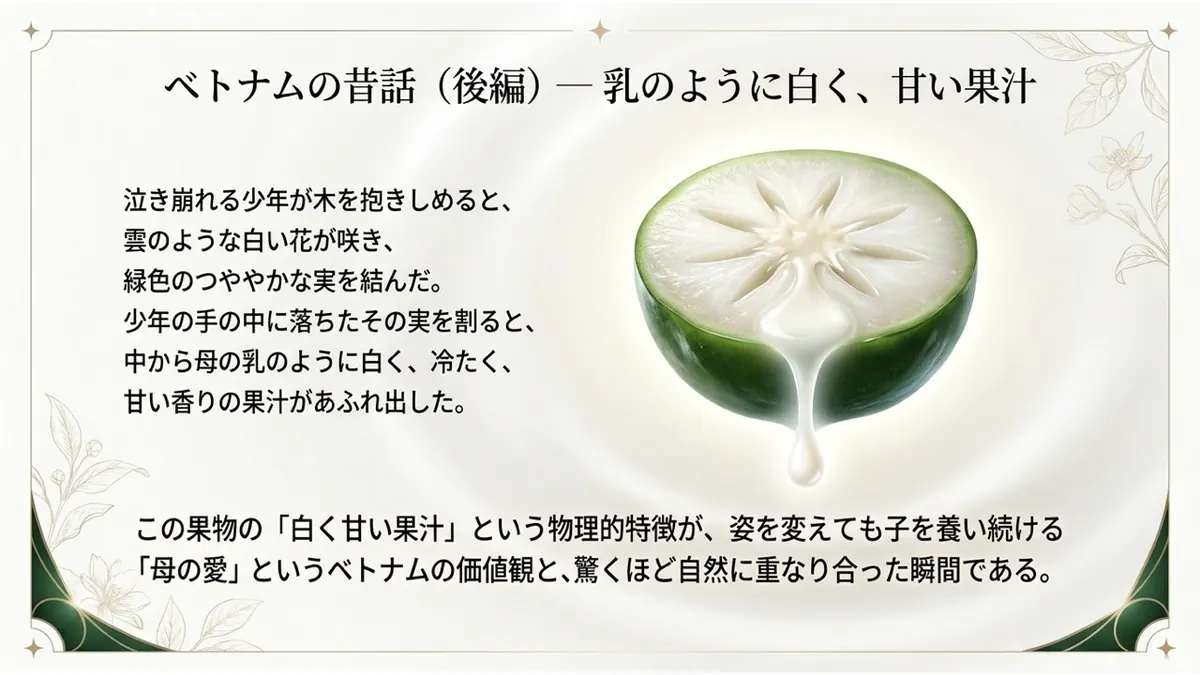 ベトナムの昔話(後編)—乳のように白く、甘い果汁。泣き崩れる少年が木を抱きしめると、雲のような白い花が咲き、緑色のつややかな実を結んだ。少年の手の中に落ちたその実を割ると、中から母の乳のように白く、冷たく、甘い香りの果汁があふれ出した。この果物の「白く甘い果汁」という物理的特徴が、姿を変えても子を養い続ける「母の愛」というベトナムの価値観と、驚くほど自然に重なり合った瞬間である