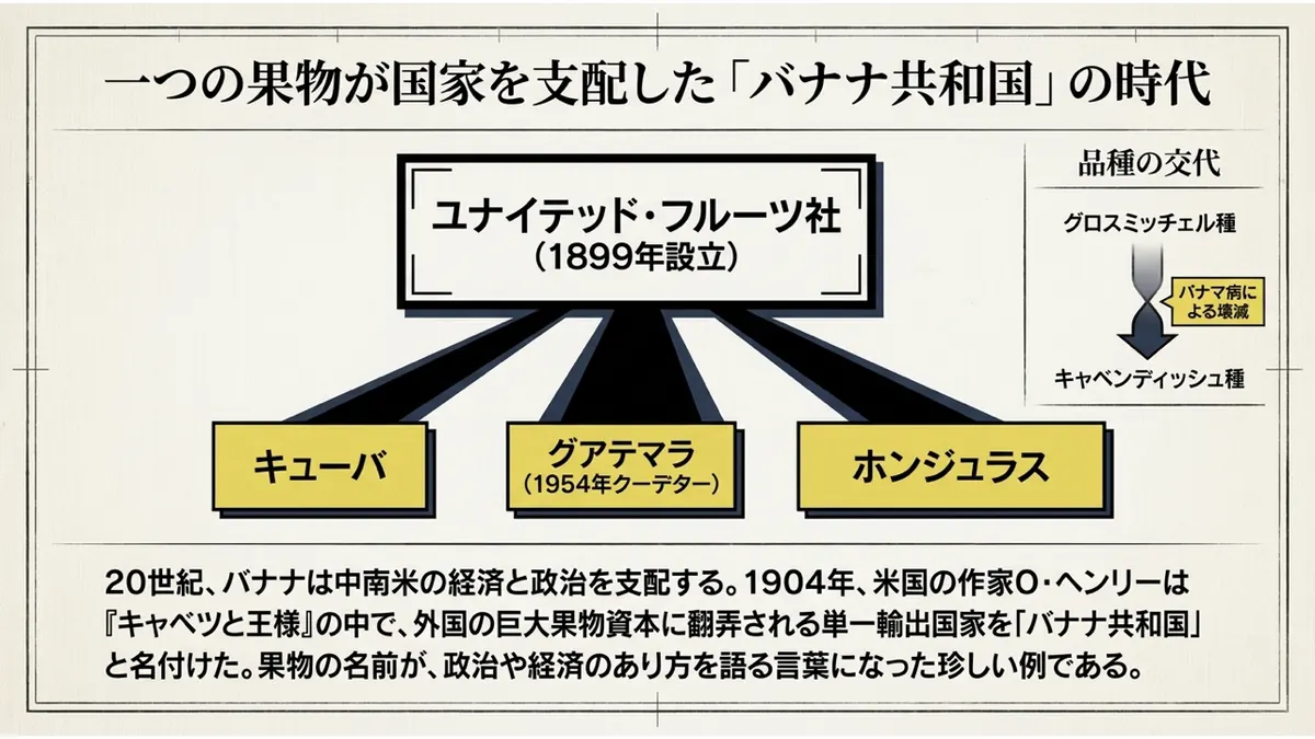 1899年設立のユナイテッド・フルーツ社からキューバ・グアテマラ・ホンジュラスへ矢印が伸びる相関図と、グロスミッチェル種からキャベンディッシュ種への品種交代を示した図
