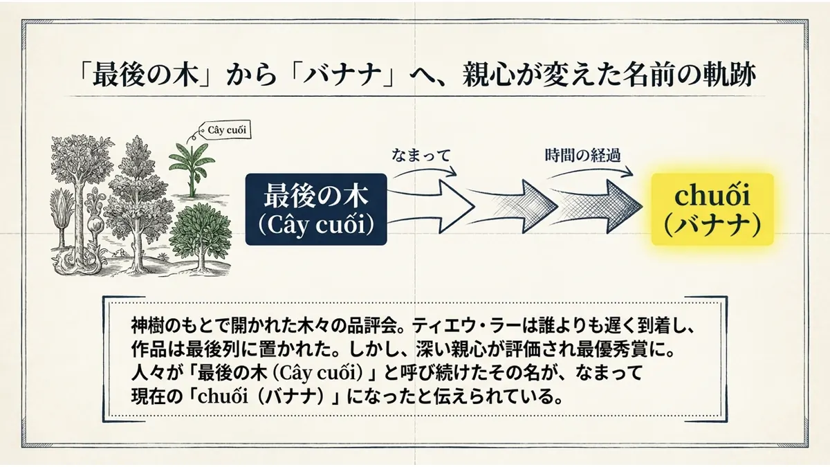 「最後の木(Cây cuối)」という文字が矢印でつながり、時間の経過とともになまって「chuối(バナナ)」という文字に変化していく様子を示した図