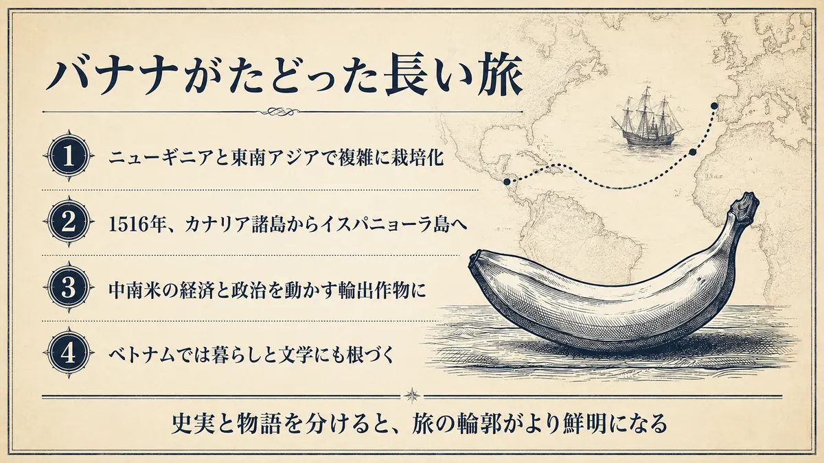 古地図とバナナを背景に、栽培化、1516年の新大陸への移植、中南米の輸出産業、ベトナムの暮らしと文学という4つの歴史をまとめた図