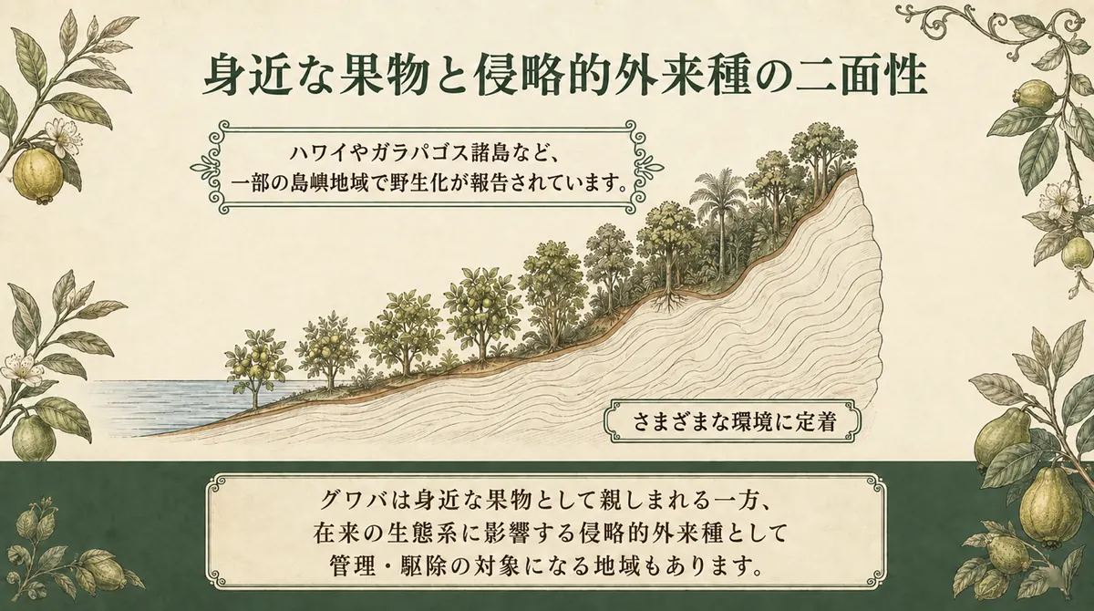 海岸から山地までさまざまな環境にグワバが定着する様子を描いた図