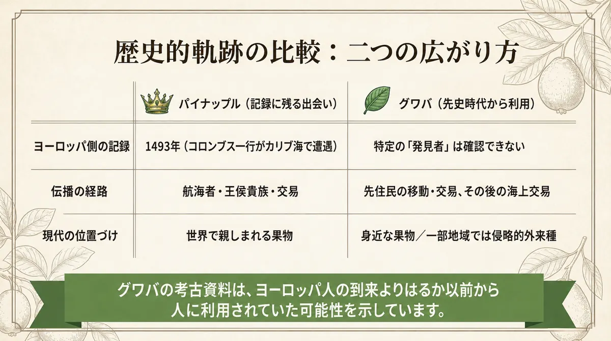 パイナップルとグワバを、ヨーロッパ側の記録、伝播の経路、現代の位置づけで比較し、グワバが先史時代から利用されていた可能性を示した表
