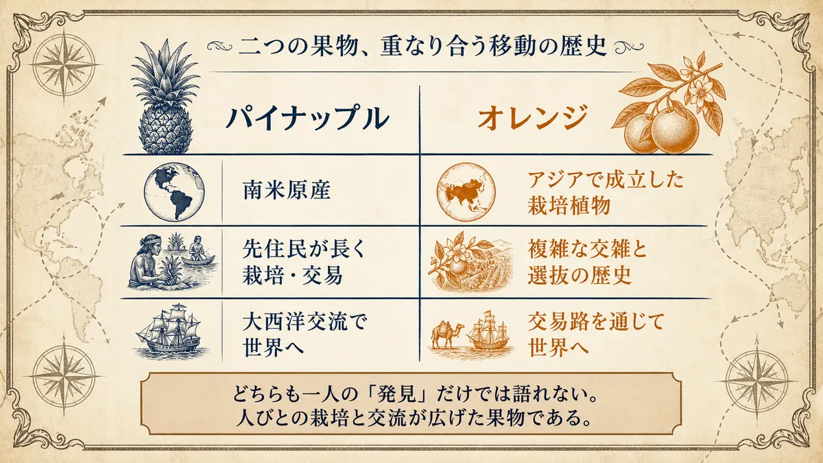 パイナップルとオレンジについて、原産・栽培史・世界への広がりを並べ、どちらも一人の発見だけでは語れないと示した比較図