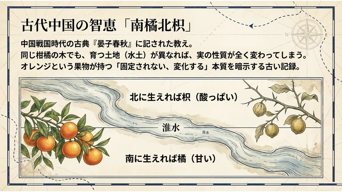 淮水を境に南の橘と北の枳を対比する「南橘北枳」の説話を、川の両岸に実る柑橘のイラストで示した図